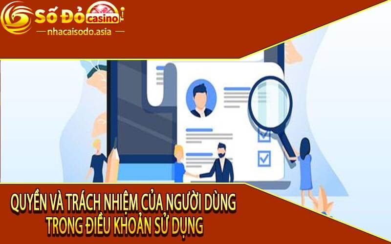 Quyền và trách nhiệm của người dùng trong điều khoản sử dụng